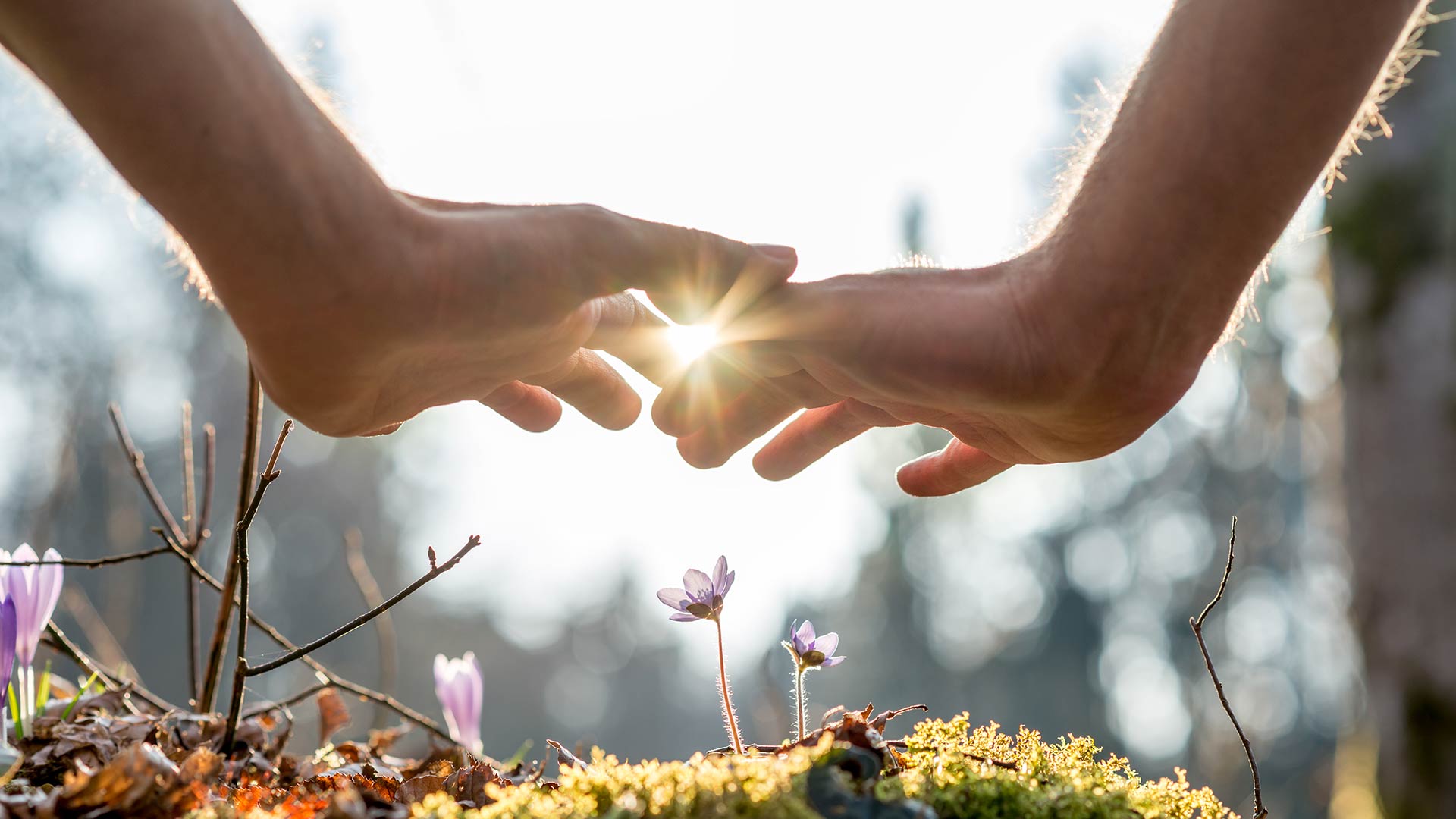 Guarigione spirituale Brunico
